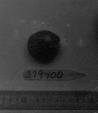 Click for 1 image(s) for this accession. FRUIT
